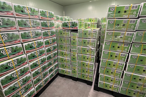 premium coconut by vietsunholdings